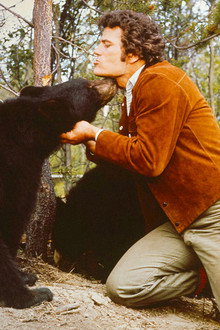 The Bears and I