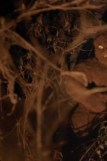Tumbbad