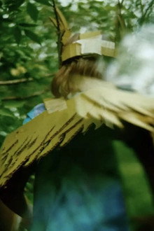 Death of a Yellow Bird