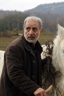 من و زیبا