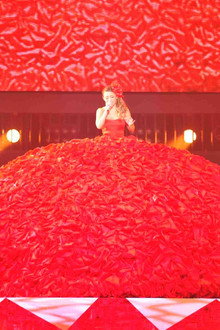 ayumi hamasaki PREMIUM SHOWCASE ~Feel the love~