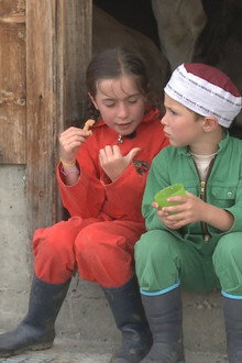 Kühe, Käse und 3 Kinder