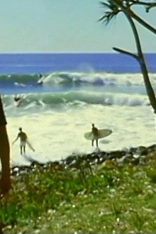 Children of the Sun