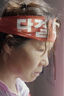 갈매기
