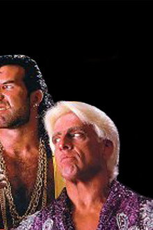 WWE Survivor Series 1992