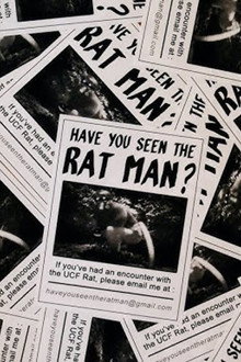 Have You Seen The Ratman?