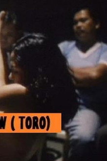 Toro