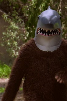 Sharksquatch