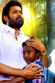 ബോൺസായ്