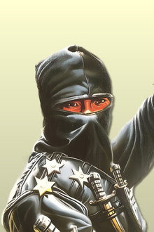 The Thundering Ninja