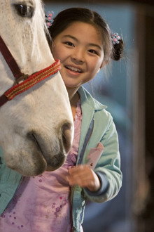Waar is het paard van Sinterklaas?