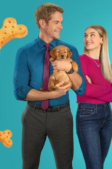 Everything Puppies