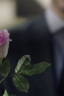 A Rose Reborn