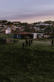 Raíces