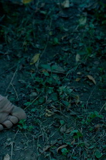 Corpúsculo