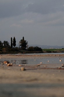 Vanishing Pink Remains