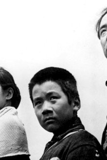 どっこい生きてる