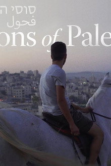 Stallions of Palestine