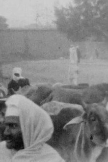Khyber Pass; Kashmir; Agra