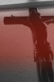 gottes schöpfung