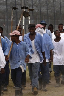 The Farm: Angola, USA