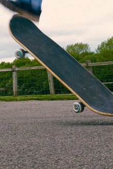 Board