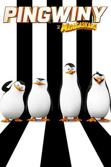 Pingwiny z Madagaskaru