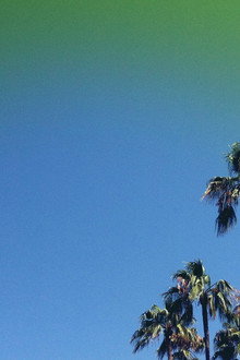 Lost in LA