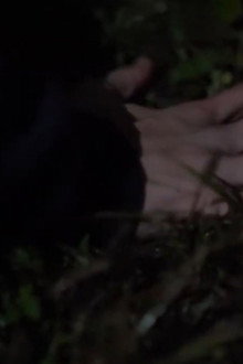 Touch Grass: a Short Film