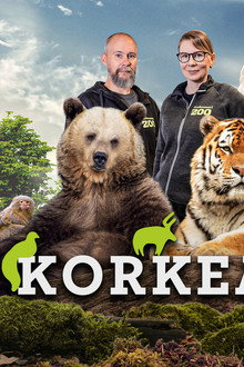 Korkeasaari