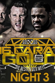 wXw 16 Carat Gold 2018 Night 3
