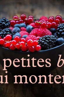 Les petites baies qui montent