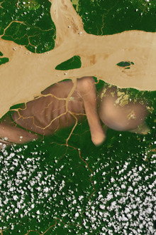 A conquista da floresta