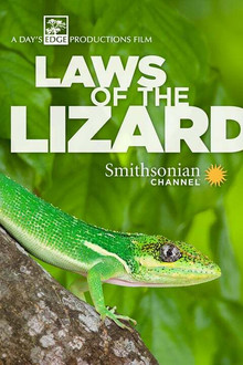 Laws of the Lizard