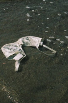 Souvenirs d'une journée parfaite