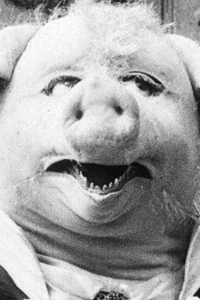 The Dancing Pig