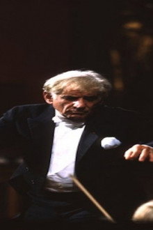 Bernstein Brahms Symphonies