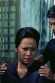 Minsa'y Isang Gamu-gamo