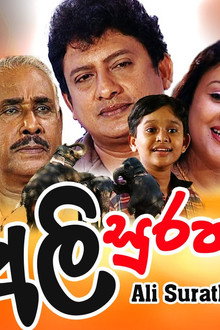 අලි සුරතල්