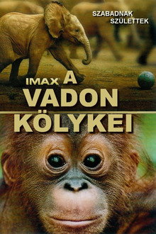A vadon kölykei