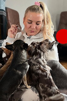 Bunte Hunde – Wo die Tierliebe hinfällt