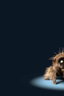 Lucas the Spider