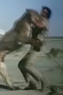 Escape from Angola