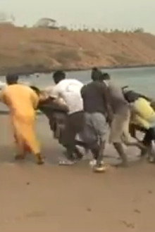 Halte au Massacre du Littoral