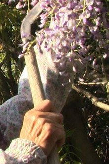 Grandma's Eternal Forest