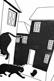 Estória do Gato e da Lua