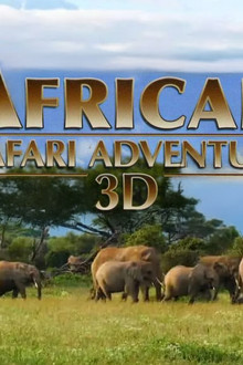 African Safari Adventure