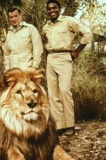 Clarence, the Cross-Eyed Lion
