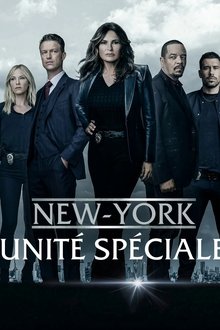 New York : Unité spéciale
