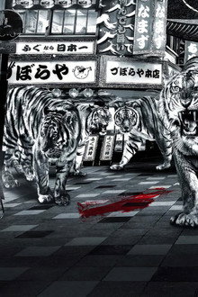 RIZIN.41